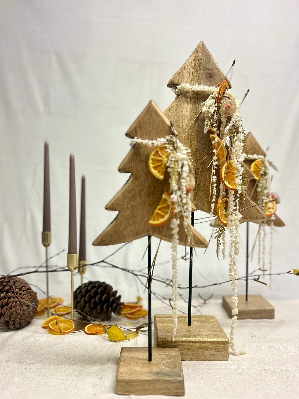 Sapin en manguier sur pied