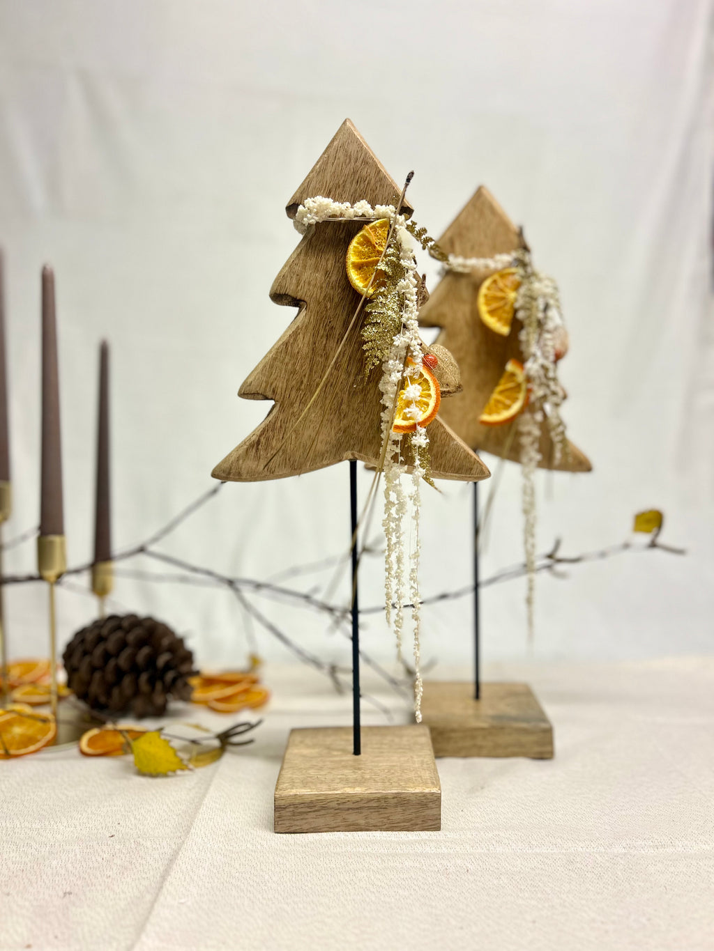 Sapin en manguier sur pied