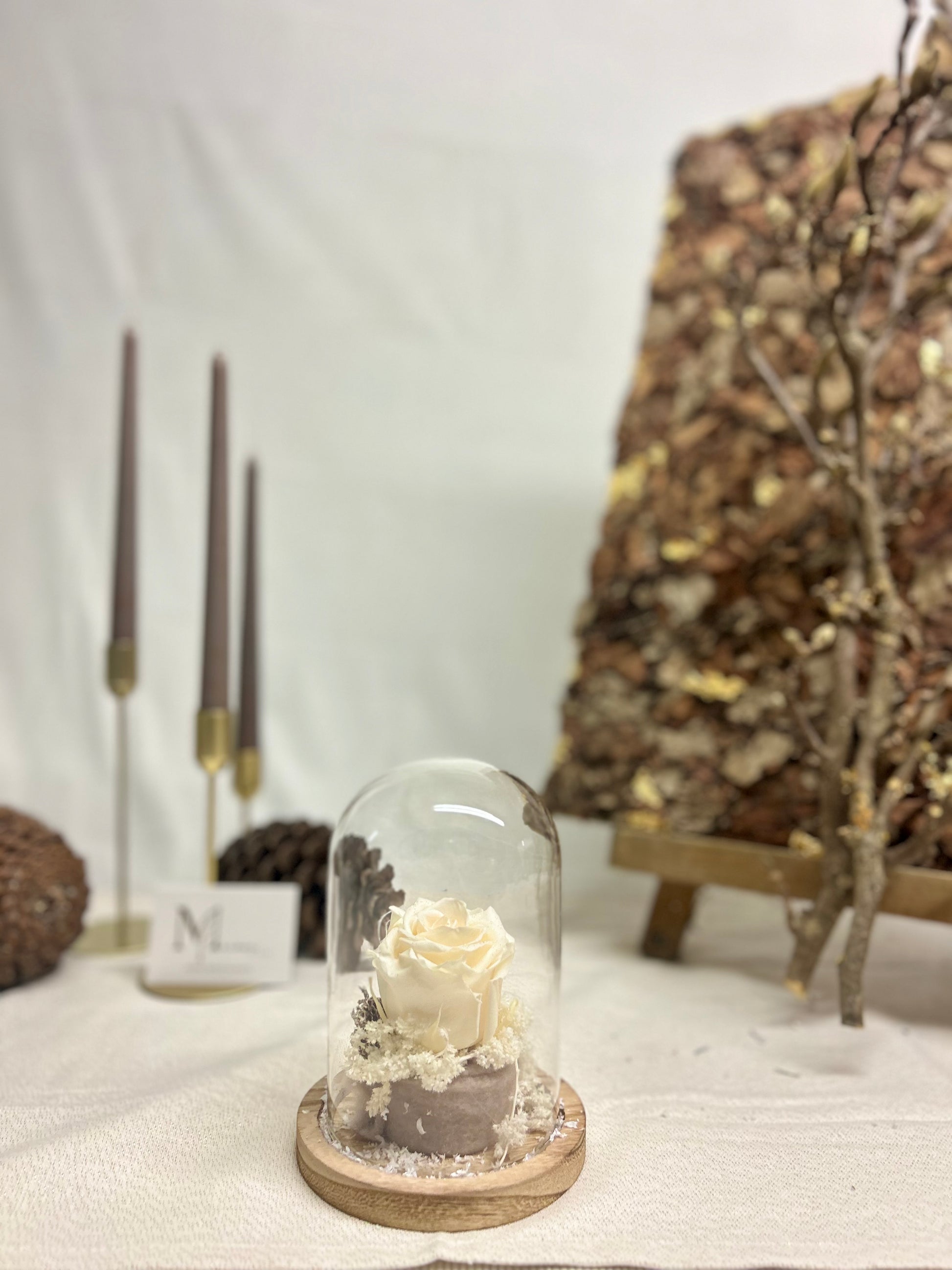 Rose éternelle blanche