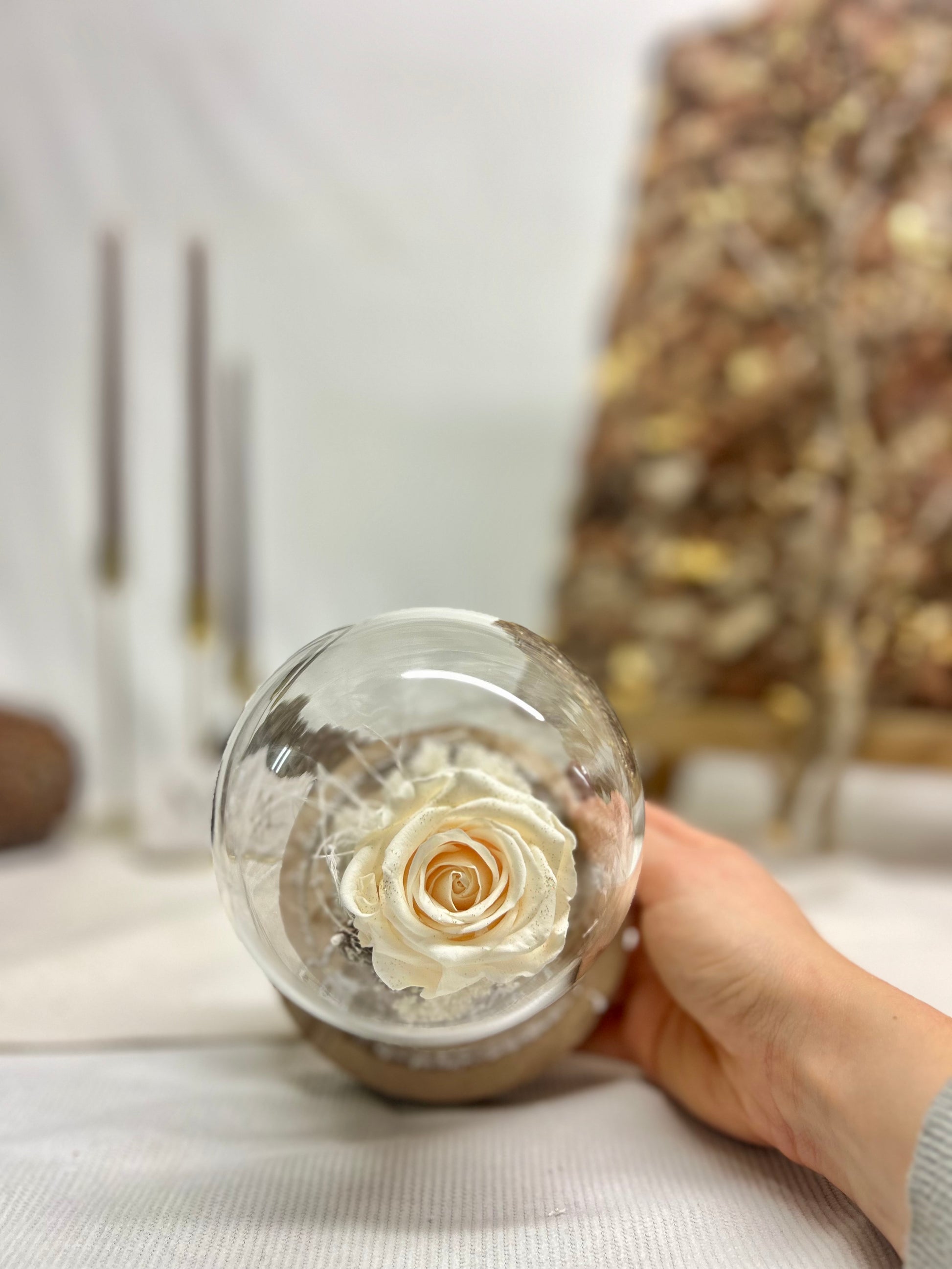 Rose éternelle blanche