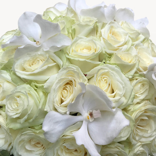 Bouquet rond – Pureté blanche