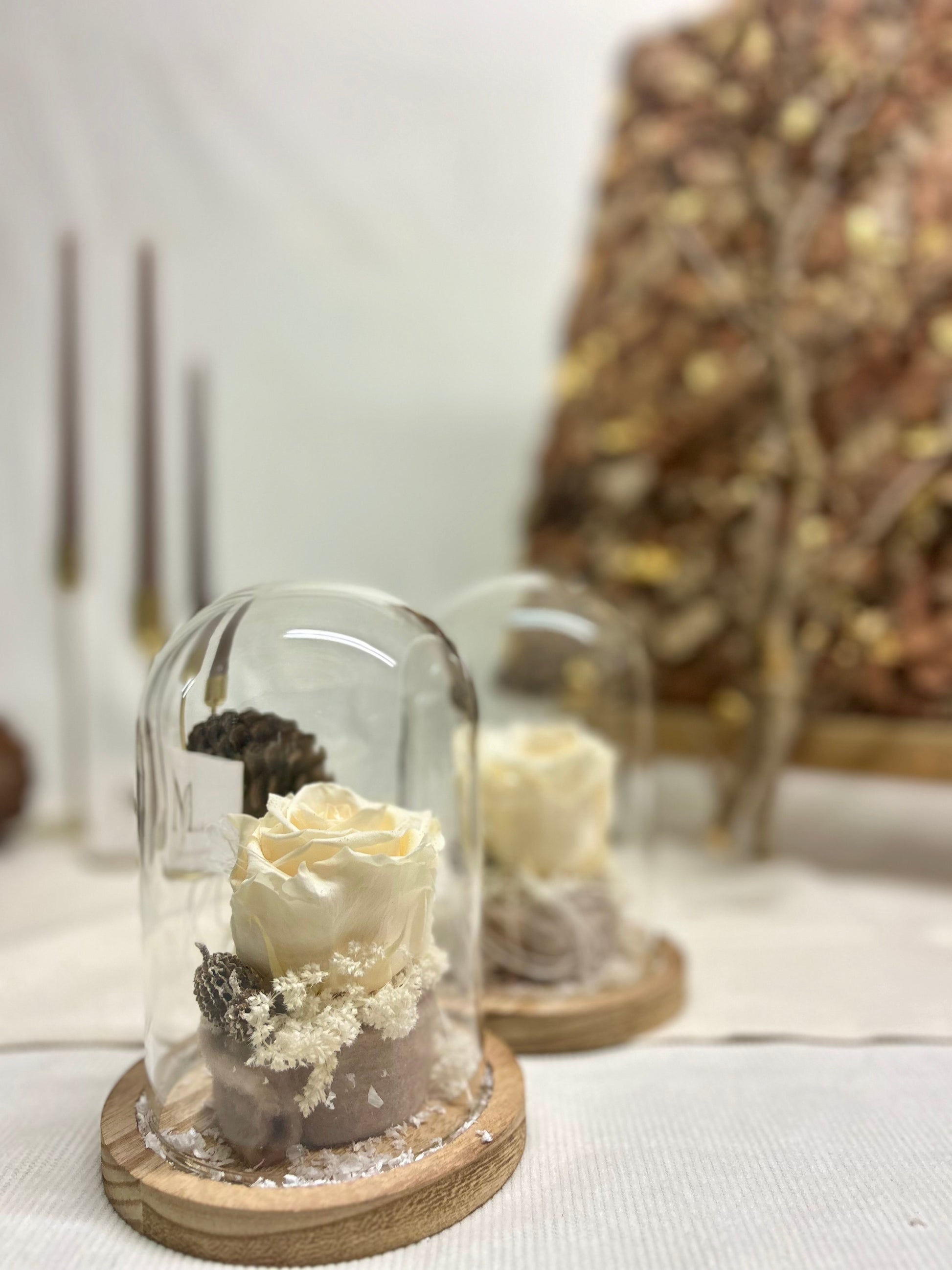 Rose éternelle blanche