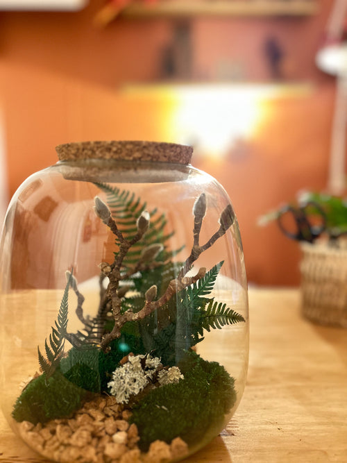 Capsule botanique - Terrarium