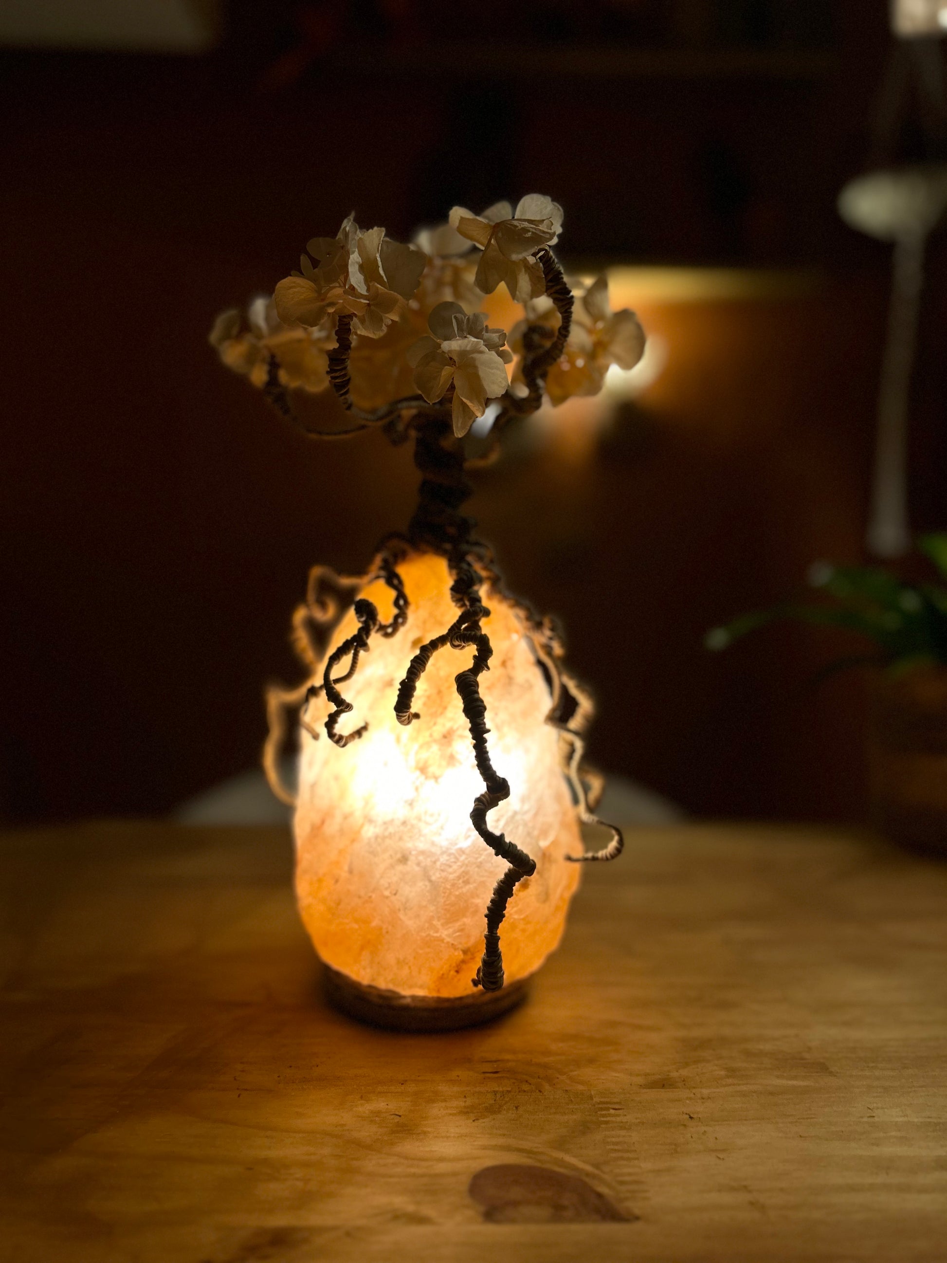 Veilleuse de nature - Lampe