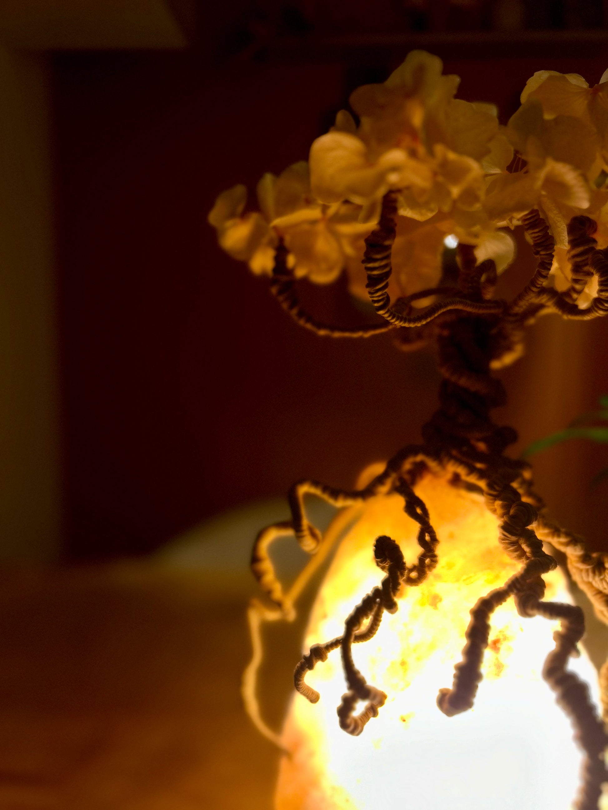 Veilleuse de nature - Lampe
