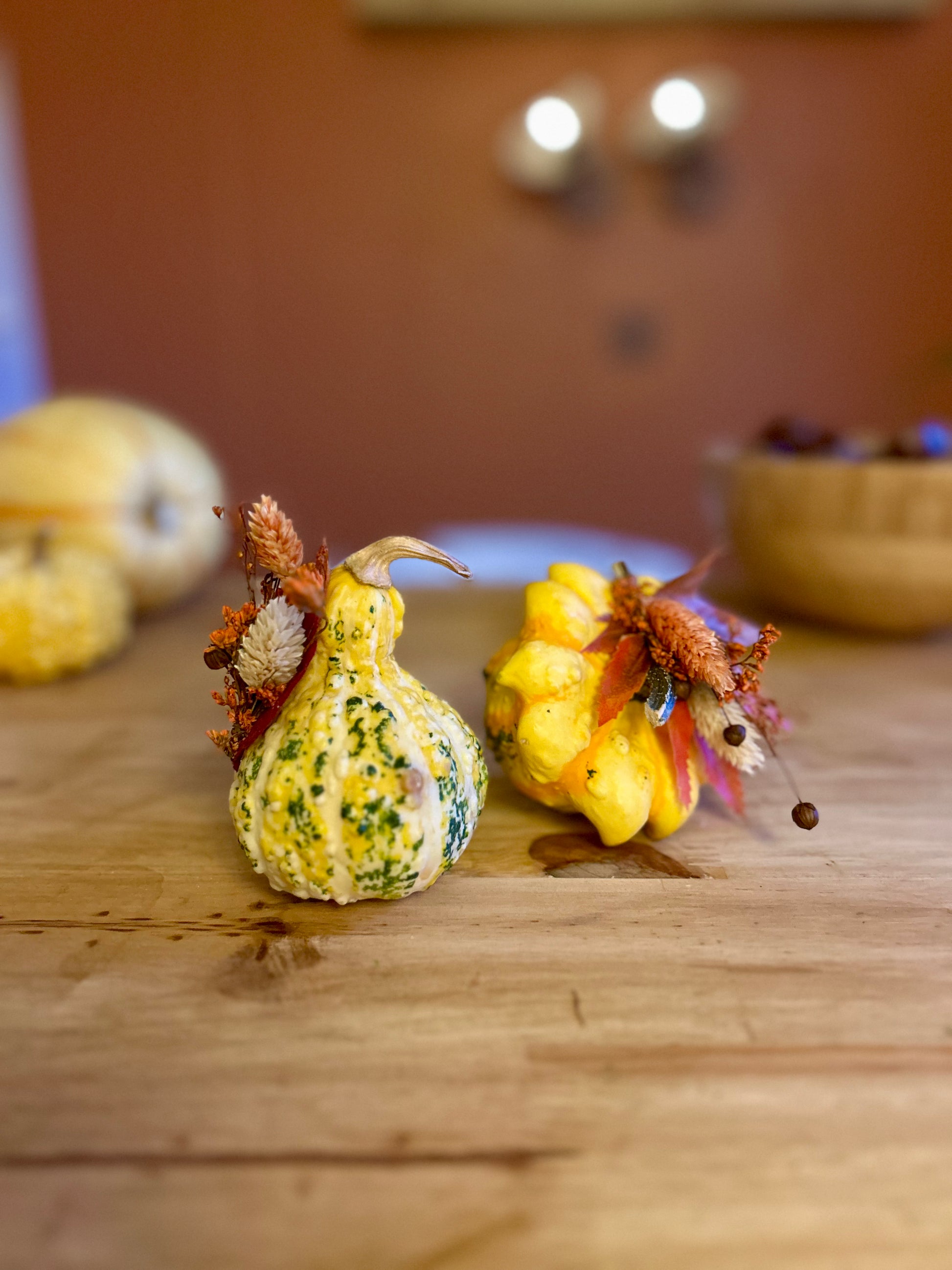 Coloquintes édition automne - Courges