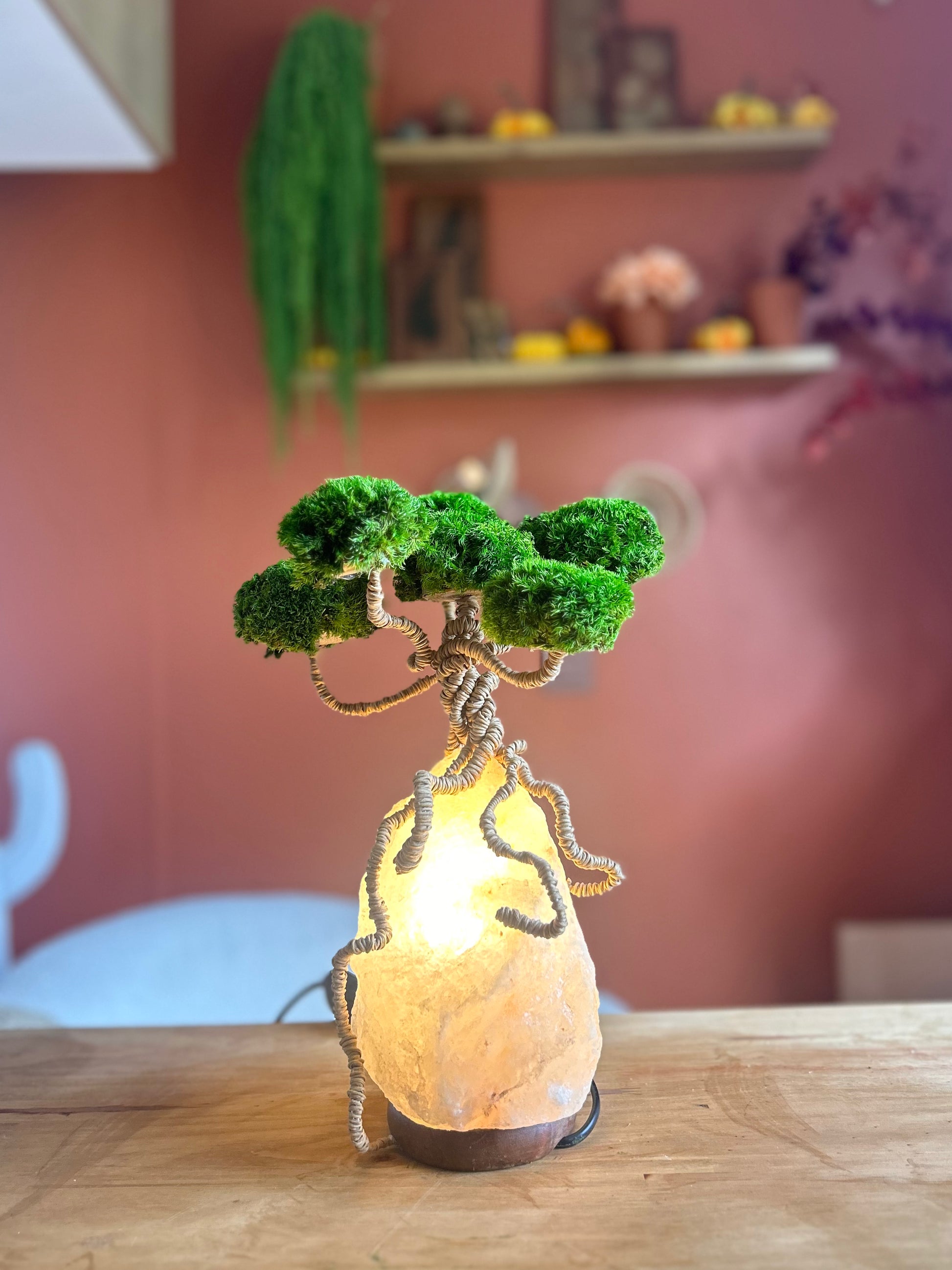 Veilleuse de nature - Lampe