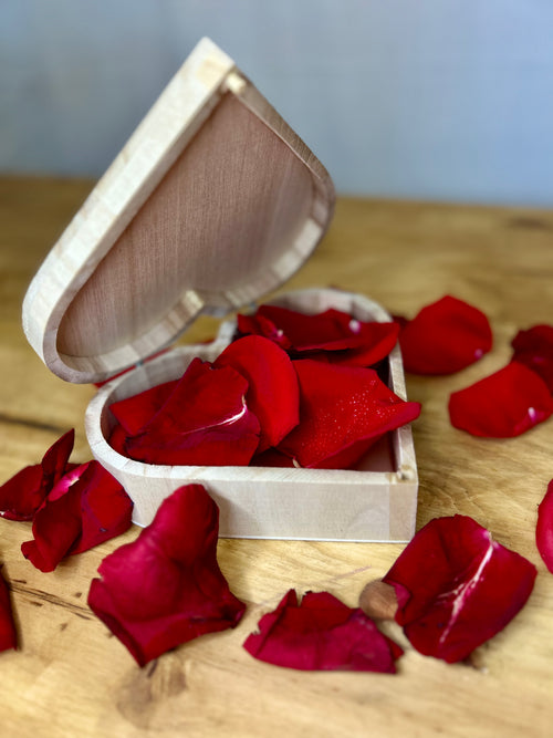 Boîte à bijoux en bois